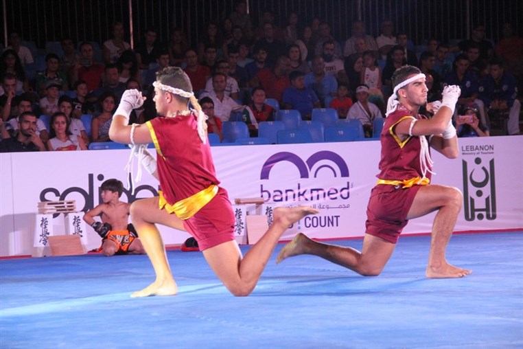 Martial Arts Festival
